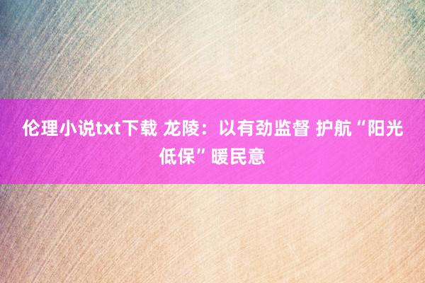 伦理小说txt下载 龙陵：以有劲监督 护航“阳光低保”暖民意