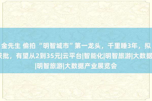 金先生 偷拍 “明智城市”第一龙头，千里睡3年，拟10转9派7获批，有望从2到35元|云平台|智能化|明智旅游|大数据产业展览会