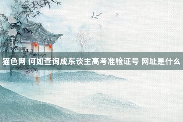 猫色网 何如查询成东谈主高考准验证号 网址是什么