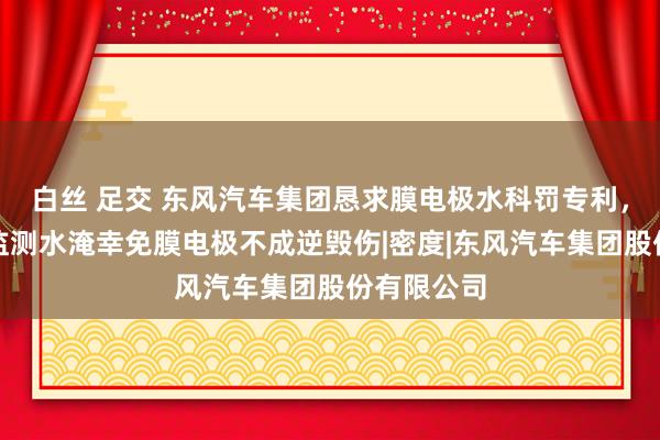 白丝 足交 东风汽车集团恳求膜电极水科罚专利，破除实时监测水淹幸免膜电极不成逆毁伤|密度|东风汽车集团股份有限公司