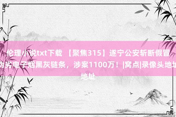 伦理小说txt下载 【聚焦315】遂宁公安斩断假冒伪劣电子烟黑灰链条，涉案1100万！|窝点|录像头地址