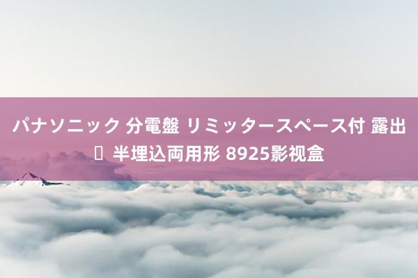 パナソニック 分電盤 リミッタースペース付 露出・半埋込両用形 8925影视盒
