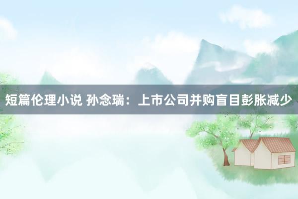 短篇伦理小说 孙念瑞：上市公司并购盲目彭胀减少