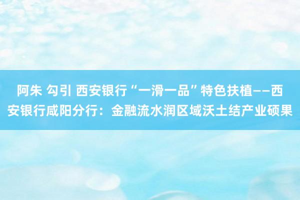 阿朱 勾引 西安银行“一滑一品”特色扶植——西安银行咸阳分行：金融流水润区域沃土结产业硕果