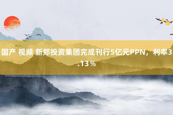 国产 视频 新郑投资集团完成刊行5亿元PPN，利率3.13％