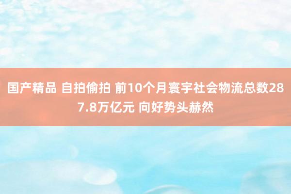 国产精品 自拍偷拍 前10个月寰宇社会物流总数287.8万亿元 向好势头赫然
