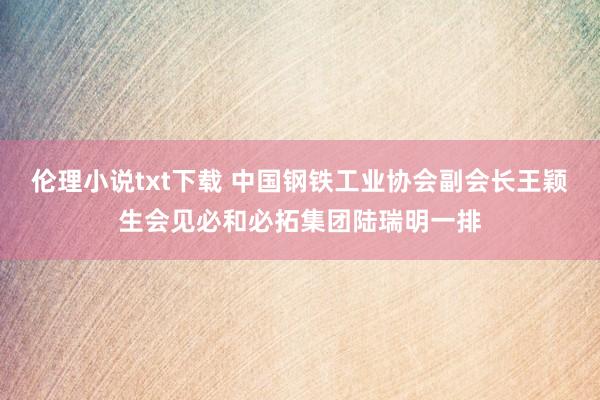 伦理小说txt下载 中国钢铁工业协会副会长王颖生会见必和必拓集团陆瑞明一排