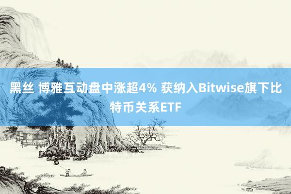 黑丝 博雅互动盘中涨超4% 获纳入Bitwise旗下比特币关系ETF