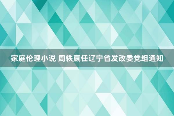 家庭伦理小说 周轶赢任辽宁省发改委党组通知